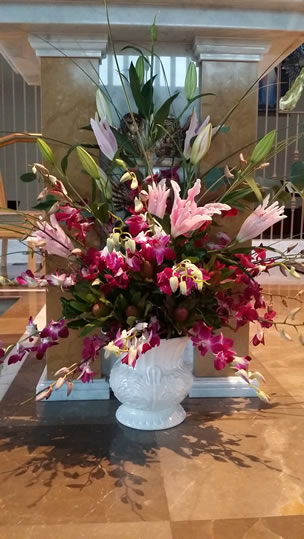 Fuchsia Dendrobium Pink Asian Lily Leucadendron
